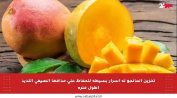 تخزين المانجو له أسرار بسيطة للحفاظ على مذاقها الصيفي اللذيذ أطول فترة